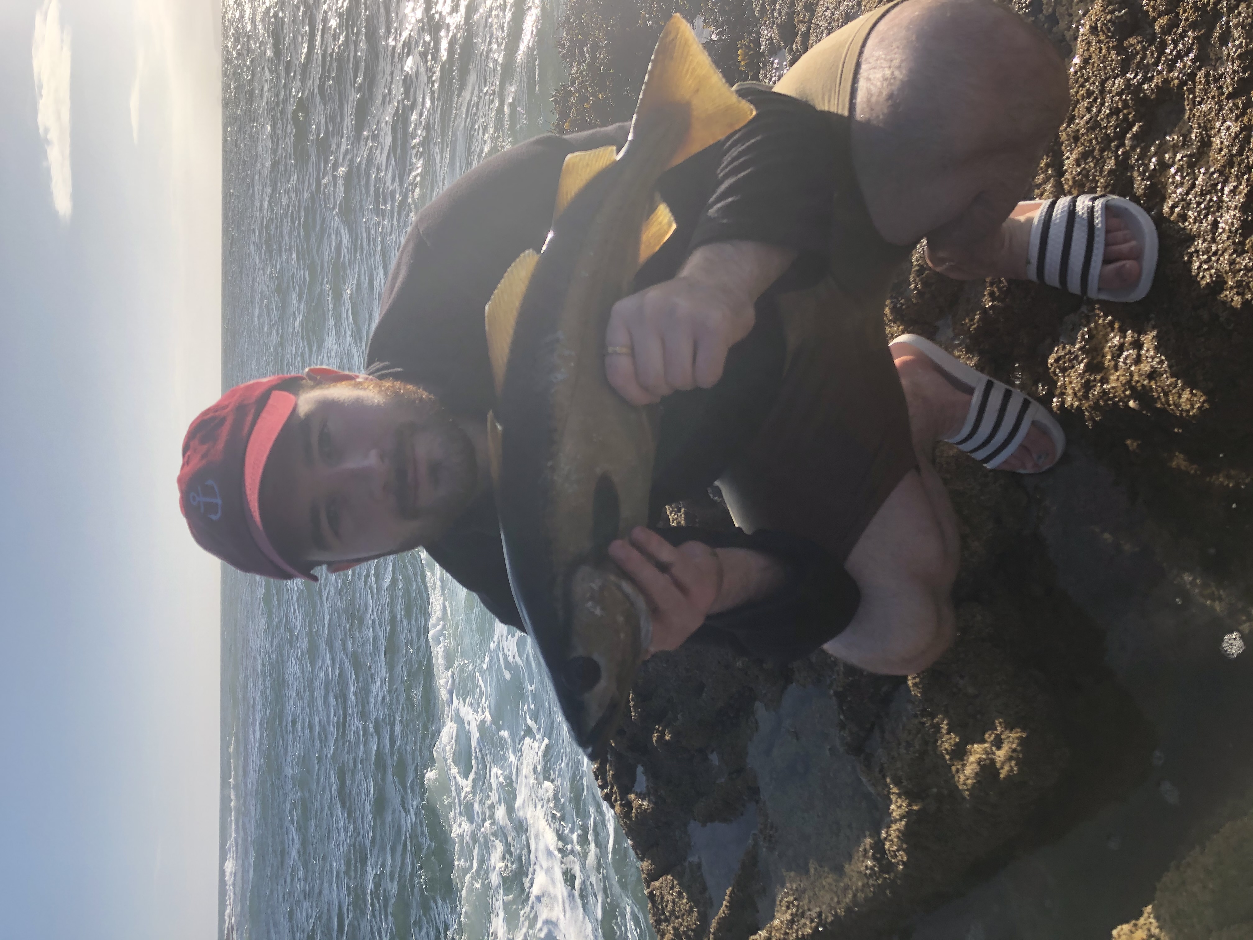 Wrasse — Rock fishing