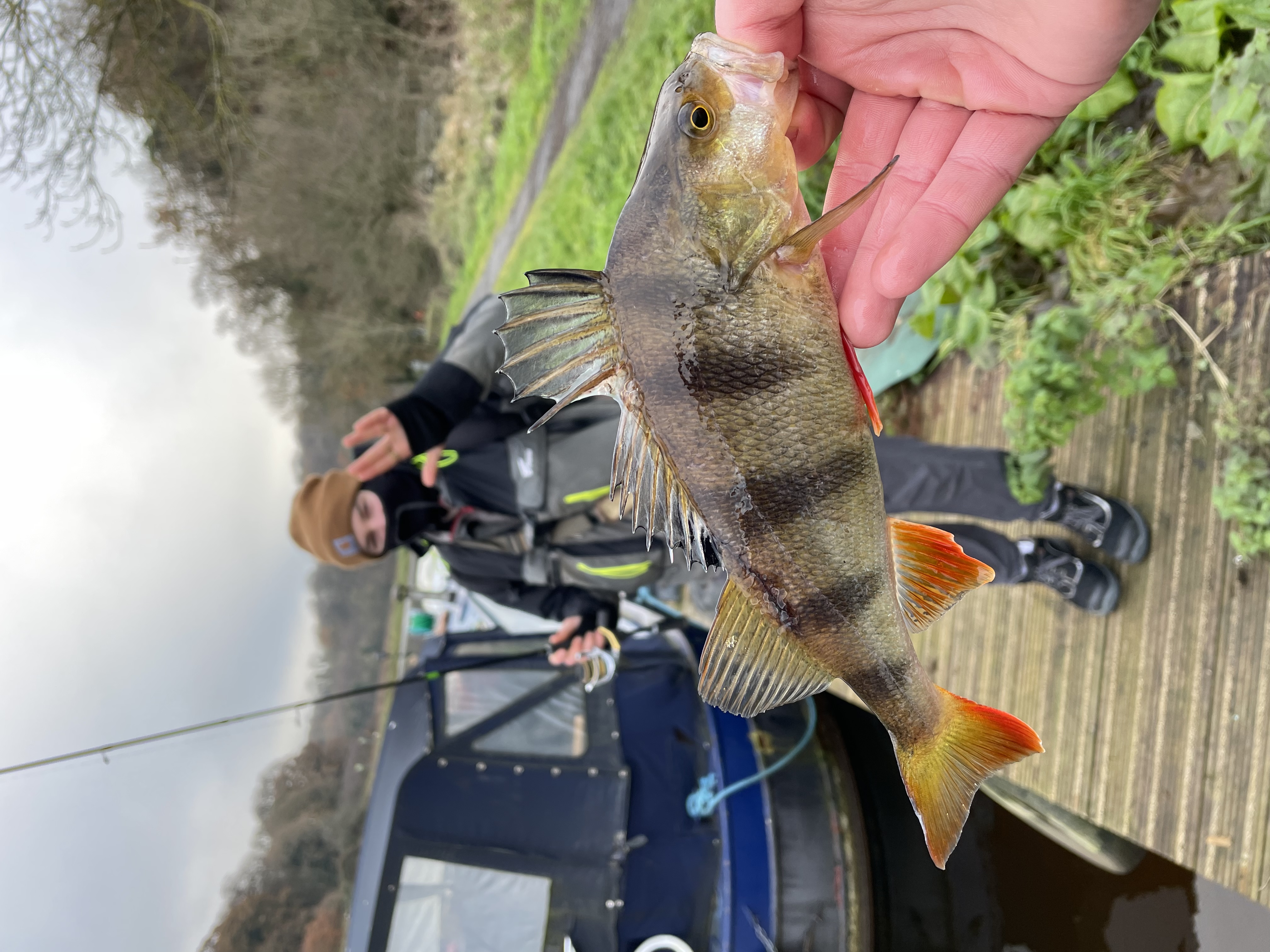 Perch — Boat session