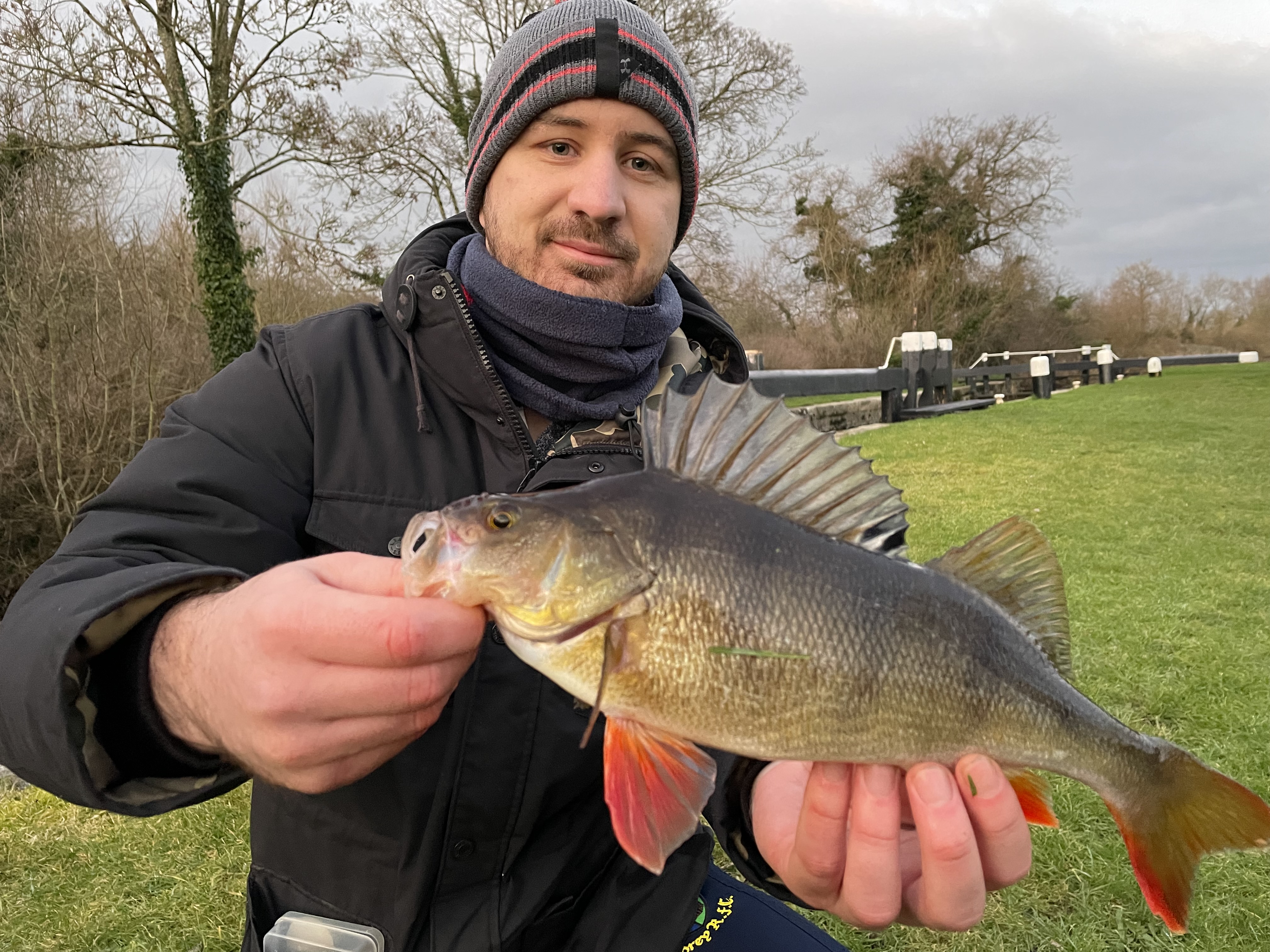 Perch — Winter river