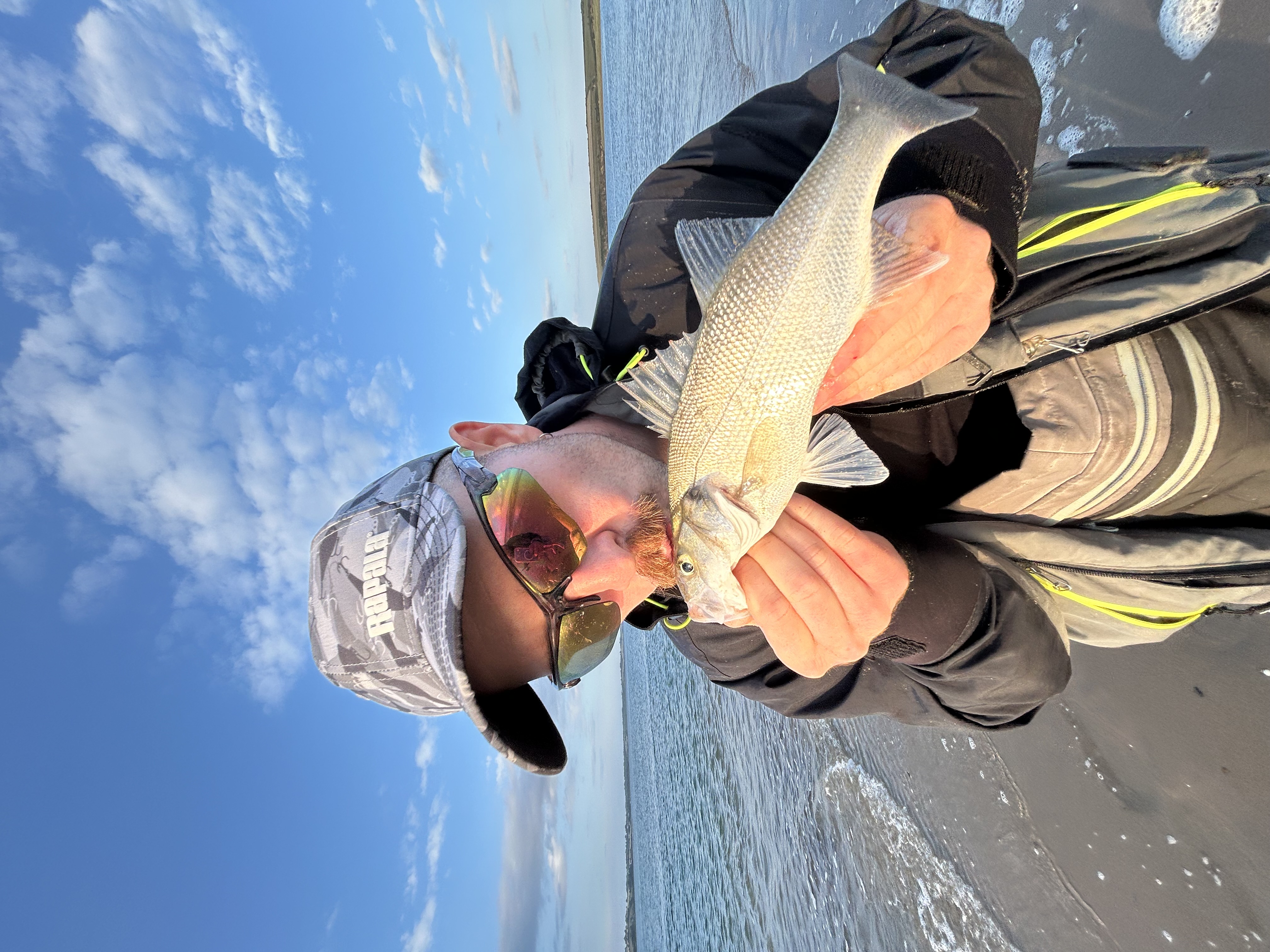 Sea Bass — Shore