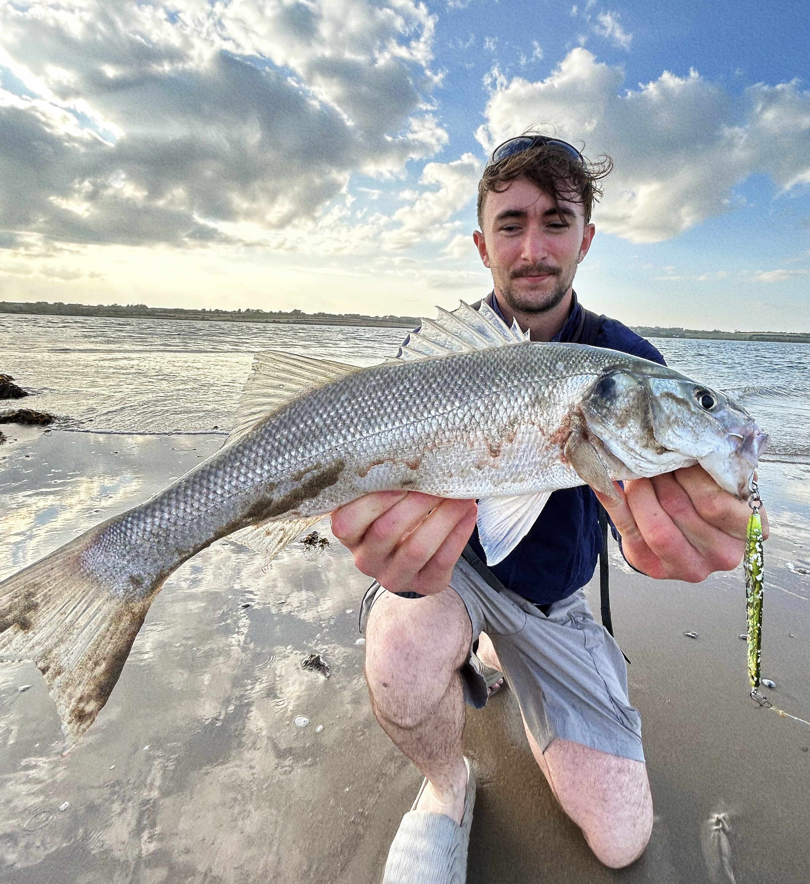 Sea Bass — Wexford coast