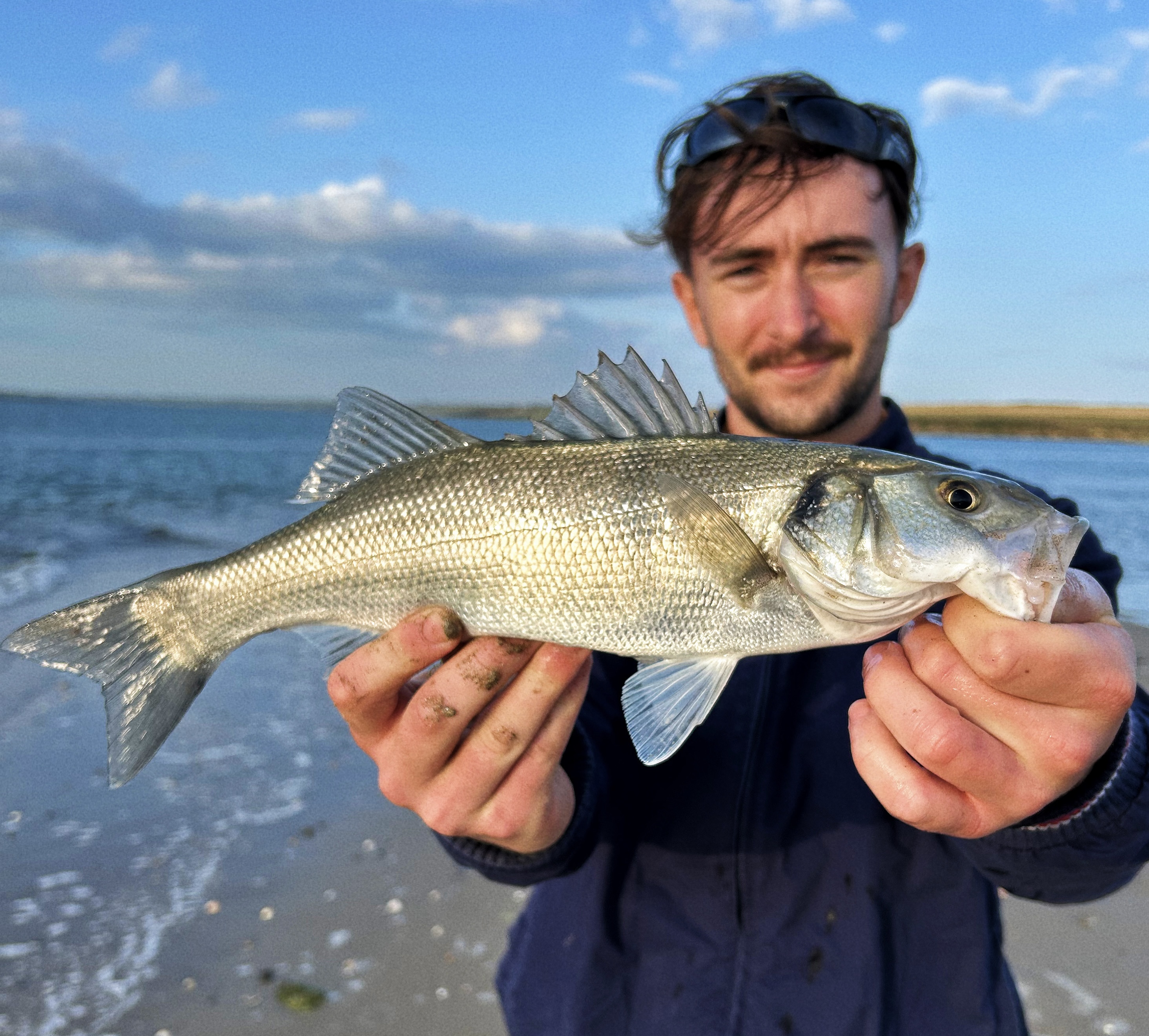 Sea Bass — Blue sky
