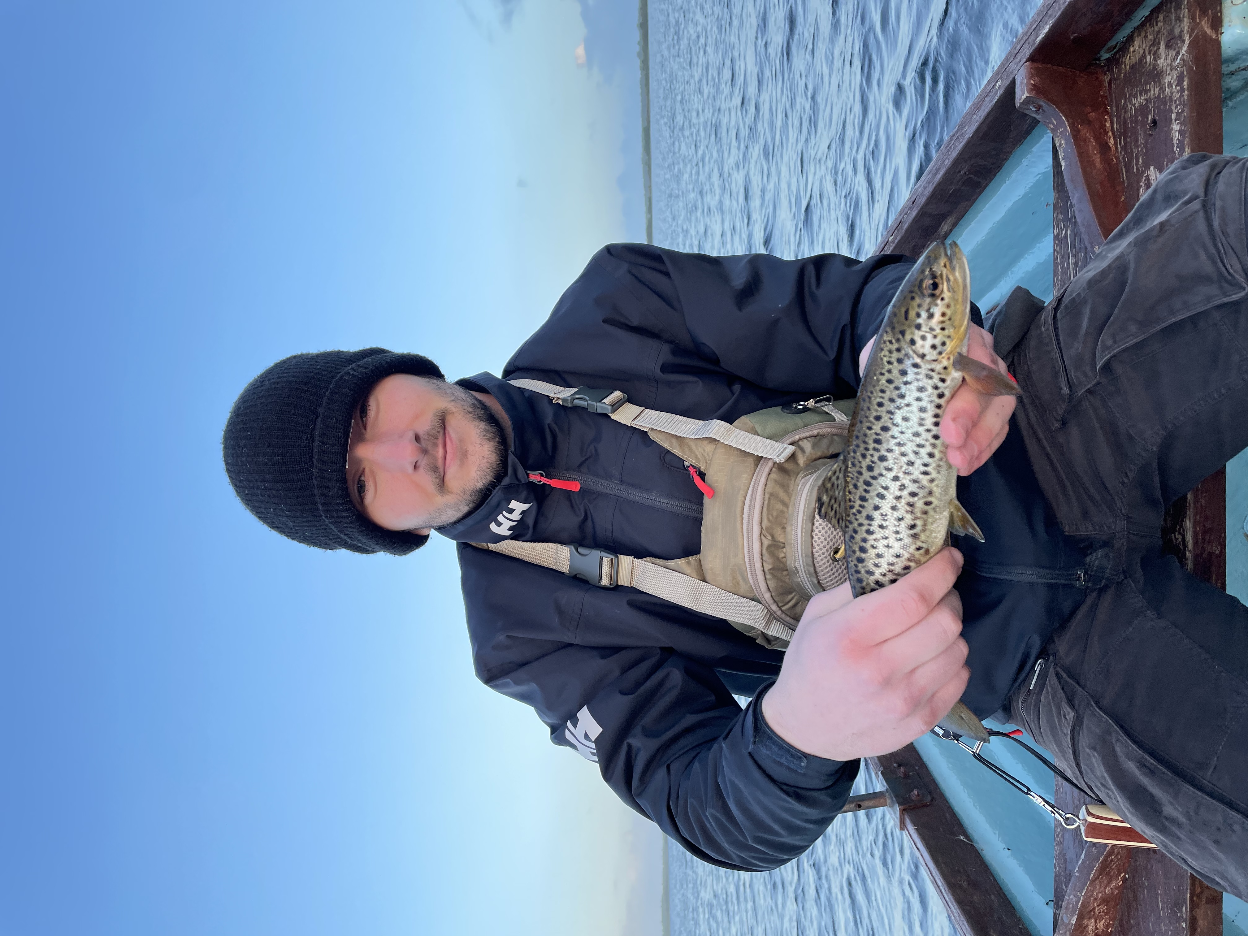 Brown Trout — Dock