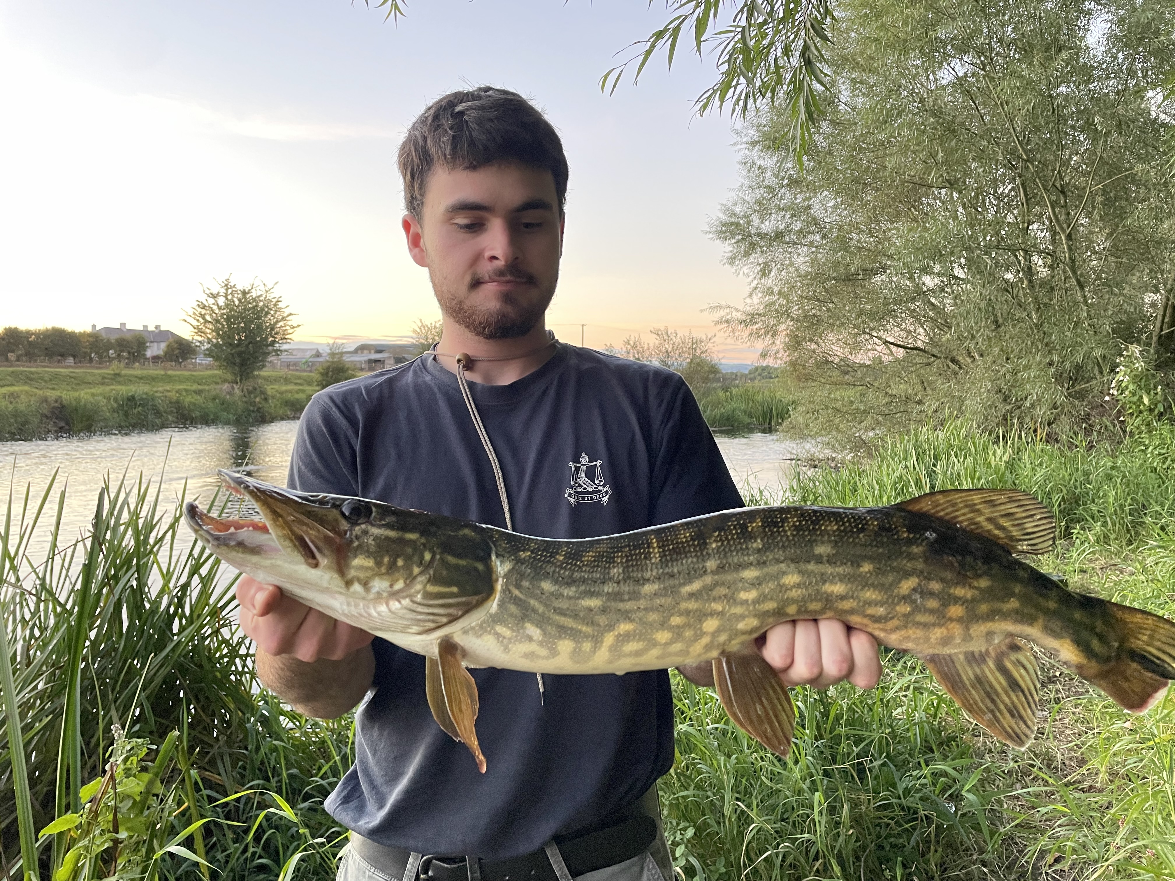 Pike — Sunset river